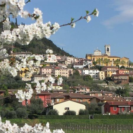 Bed and Breakfast Aurora Cavaion Veronese Esterno foto