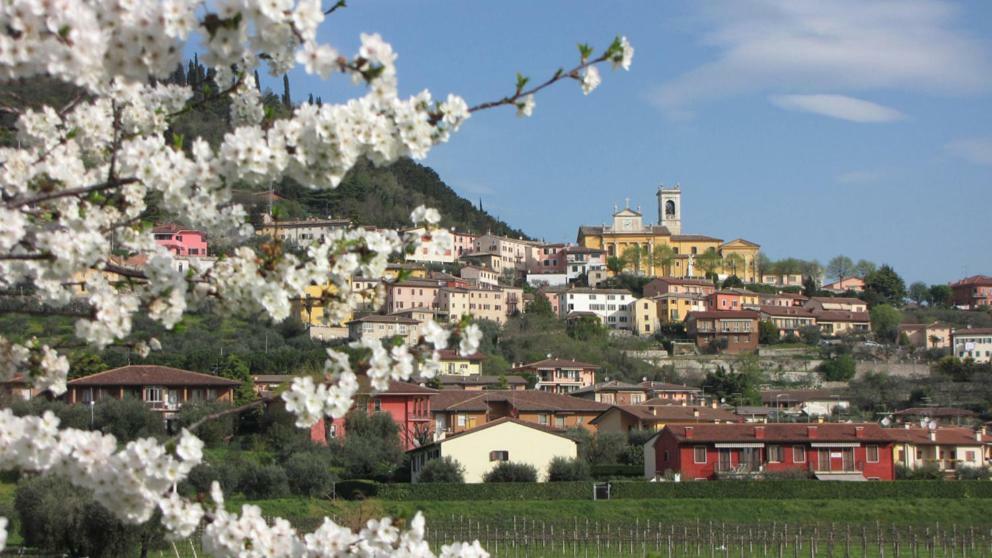 Bed and Breakfast Aurora Cavaion Veronese Esterno foto